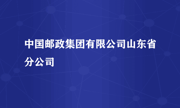 什么是中国邮政集团有限公司山东省分公司