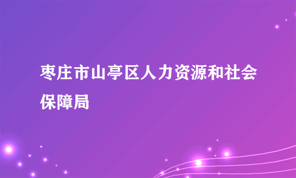 枣庄市山亭区人力资源和社会保障局