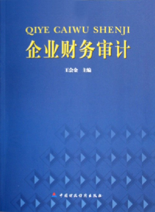 企业财务审计（会计学审计报告）