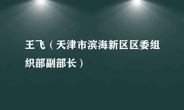 王飞（天津市滨海新区区委组织部副部长）