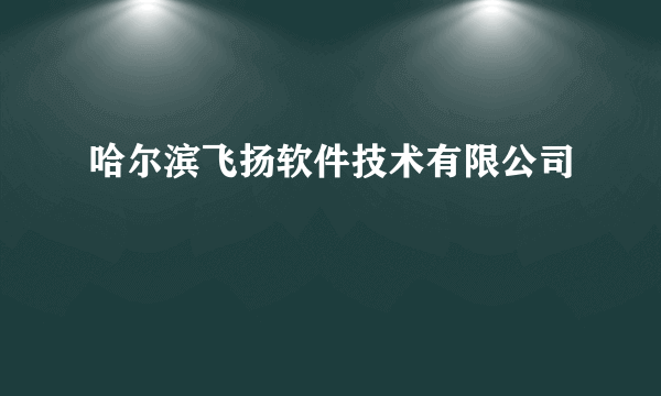 什么是哈尔滨飞扬软件技术有限公司