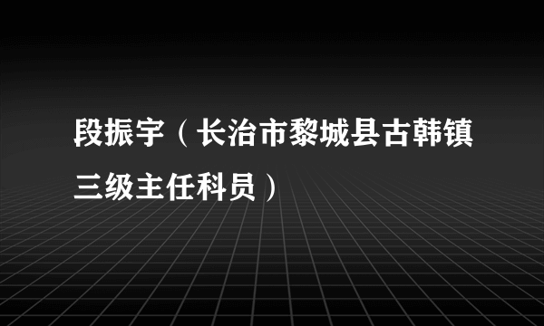 段振宇（长治市黎城县古韩镇三级主任科员）