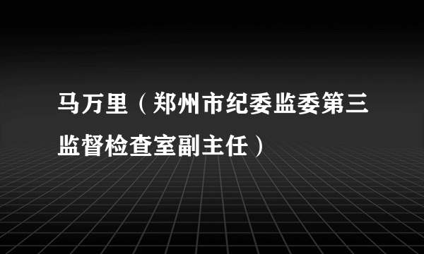 马万里（郑州市纪委监委第三监督检查室副主任）