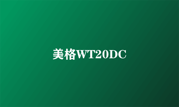 什么是美格WT20DC