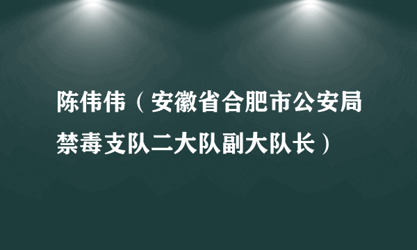 什么是陈伟伟（安徽省合肥市公安局禁毒支队二大队副大队长）