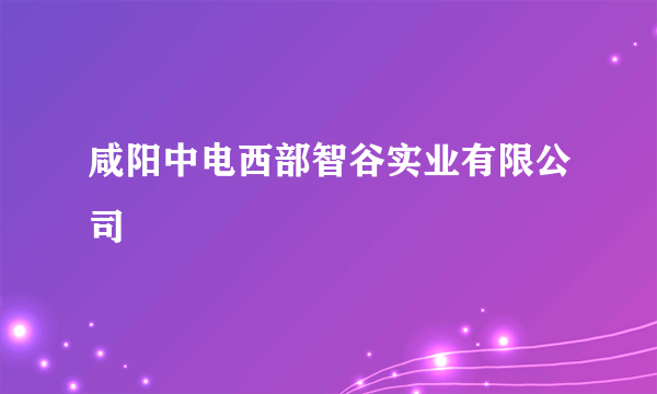 咸阳中电西部智谷实业有限公司