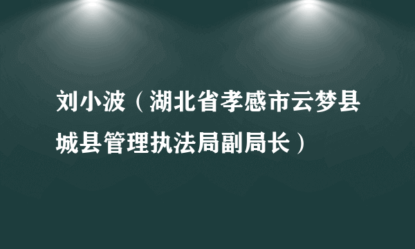 刘小波（湖北省孝感市云梦县城县管理执法局副局长）