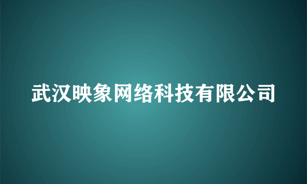 武汉映象网络科技有限公司