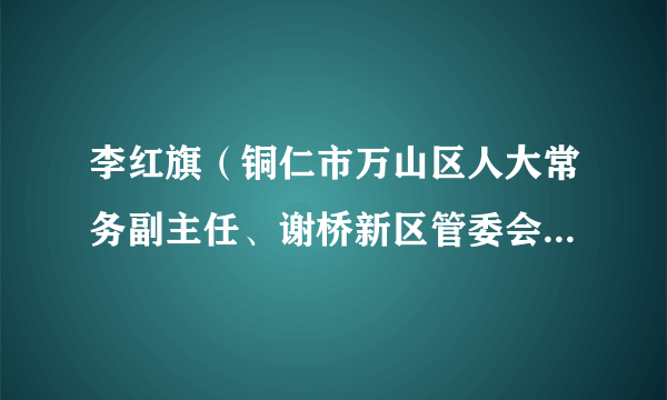 李红旗（铜仁市万山区人大常务副主任、谢桥新区管委会主任、党工委书记）