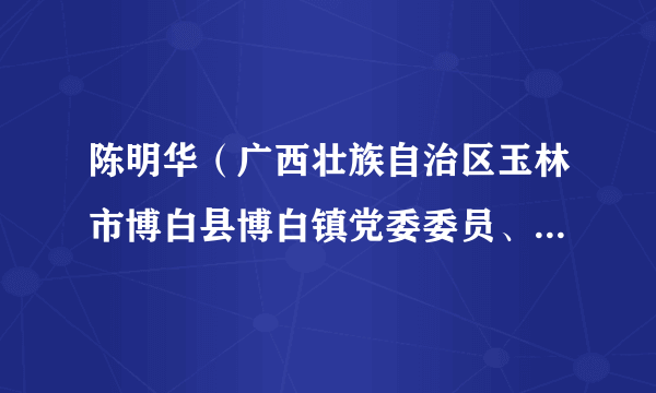 陈明华（广西壮族自治区玉林市博白县博白镇党委委员、政法委员、副镇长）