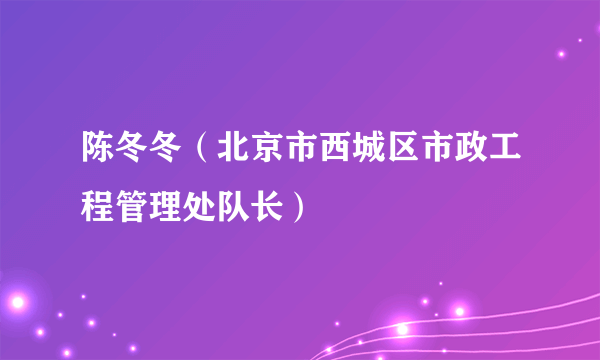 陈冬冬（北京市西城区市政工程管理处队长）