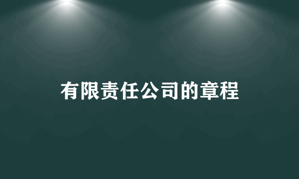 有限责任公司的章程