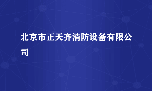 北京市正天齐消防设备有限公司