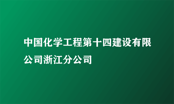 中国化学工程第十四建设有限公司浙江分公司