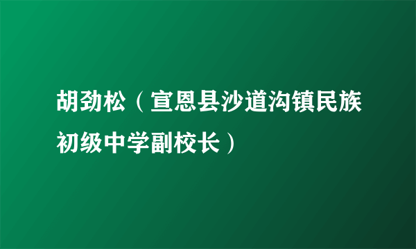 胡劲松（宣恩县沙道沟镇民族初级中学副校长）