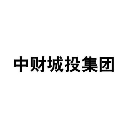 中财城投集团有限公司