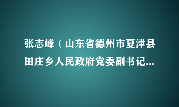 张志峰（山东省德州市夏津县田庄乡人民政府党委副书记、乡长）