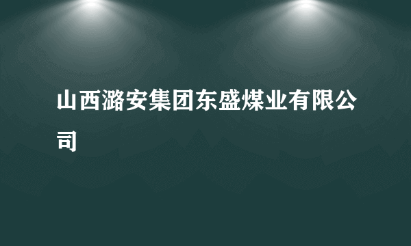 山西潞安集团东盛煤业有限公司