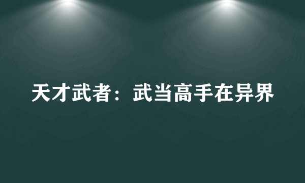 什么是天才武者：武当高手在异界