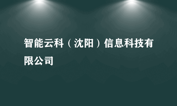 智能云科（沈阳）信息科技有限公司