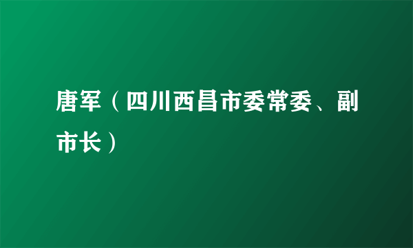 唐军（四川西昌市委常委、副市长）