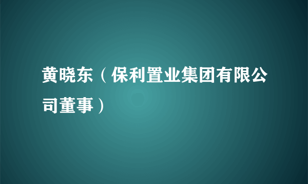 什么是黄晓东（保利置业集团有限公司董事）