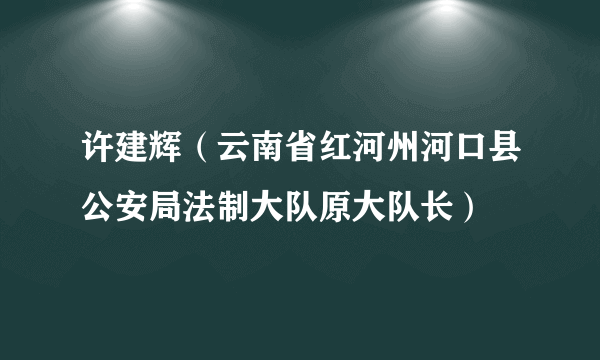 什么是许建辉（云南省红河州河口县公安局法制大队原大队长）