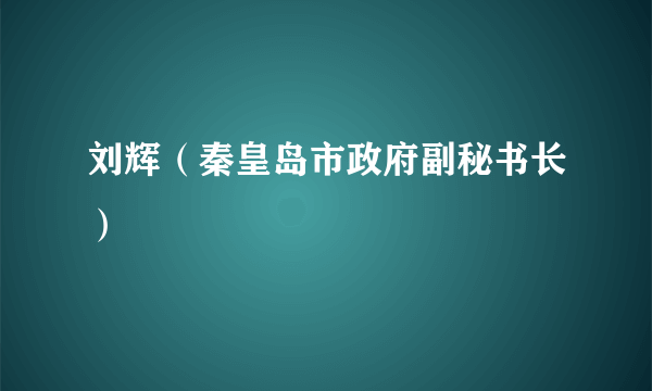 刘辉（秦皇岛市政府副秘书长）