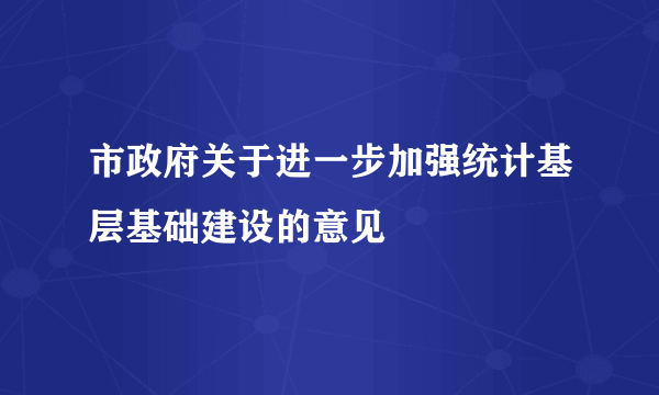 市政府关于进一步加强统计基层基础建设的意见