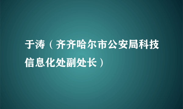 于涛（齐齐哈尔市公安局科技信息化处副处长）