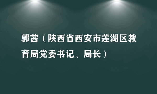 郭茜（陕西省西安市莲湖区教育局党委书记、局长）