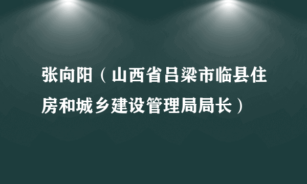 张向阳（山西省吕梁市临县住房和城乡建设管理局局长）