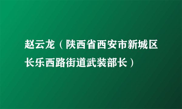 赵云龙（陕西省西安市新城区长乐西路街道武装部长）