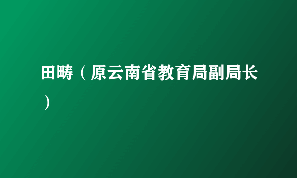 田畴（原云南省教育局副局长）