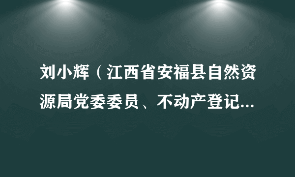 刘小辉（江西省安福县自然资源局党委委员、不动产登记中心主任）