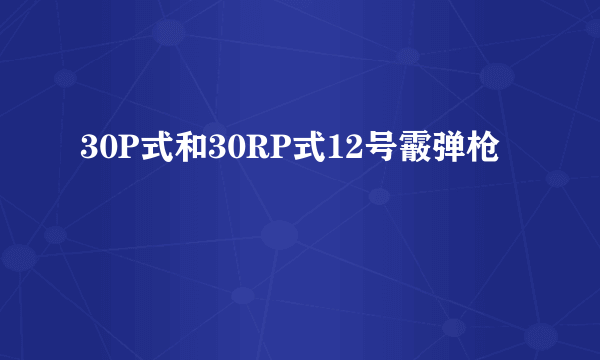 30P式和30RP式12号霰弹枪