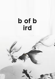 什么是b of bird