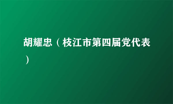 胡耀忠（枝江市第四届党代表）