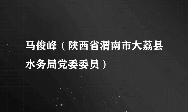 马俊峰（陕西省渭南市大荔县水务局党委委员）