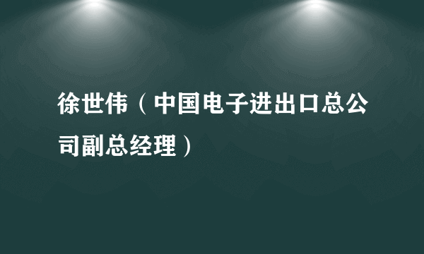 徐世伟（中国电子进出口总公司副总经理）