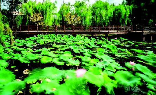 柳林村（北京市海淀区苏家坨镇下辖村）