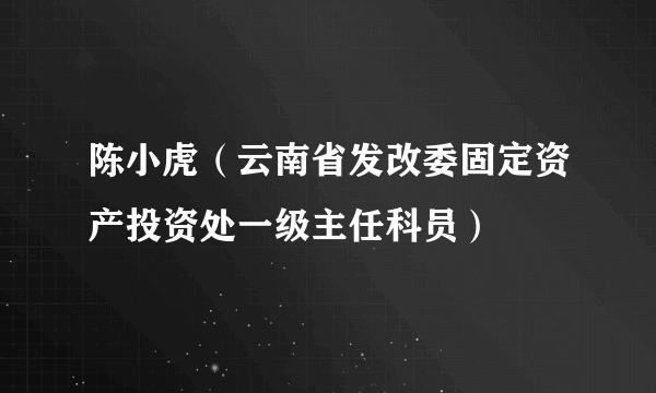 陈小虎（云南省发改委固定资产投资处一级主任科员）