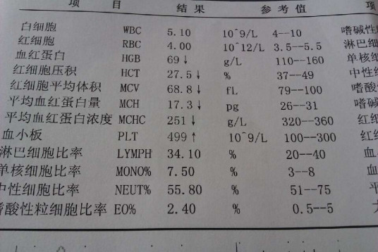 什么是血象高