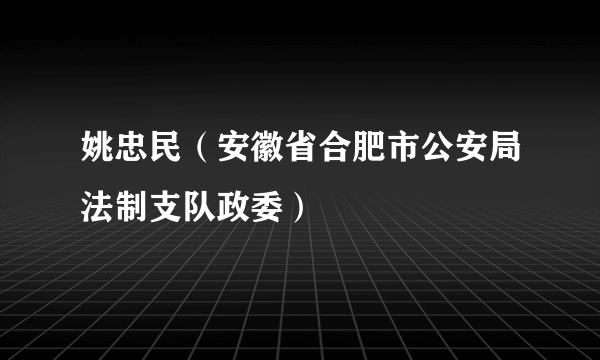 姚忠民（安徽省合肥市公安局法制支队政委）