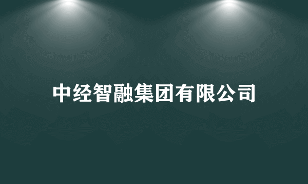 中经智融集团有限公司