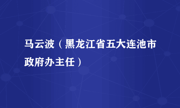 马云波（黑龙江省五大连池市政府办主任）