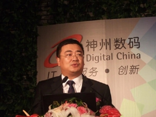 什么是林杨（神州数码CEO）