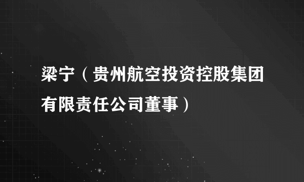 梁宁（贵州航空投资控股集团有限责任公司董事）