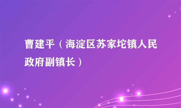 什么是曹建平（海淀区苏家坨镇人民政府副镇长）