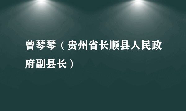 曾琴琴（贵州省长顺县人民政府副县长）